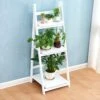 Hampton Ladder Display Unit 1 Hampton Ladder Display Unit -FINZ Furniture Shop 91L3z4BEoFL. SL1500