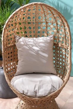 Nerida Rattan Cocoon Chair 14 Nerida Rattan Cocoon Chair -FINZ Furniture Shop 91mySmR Y2L. AC SL1500