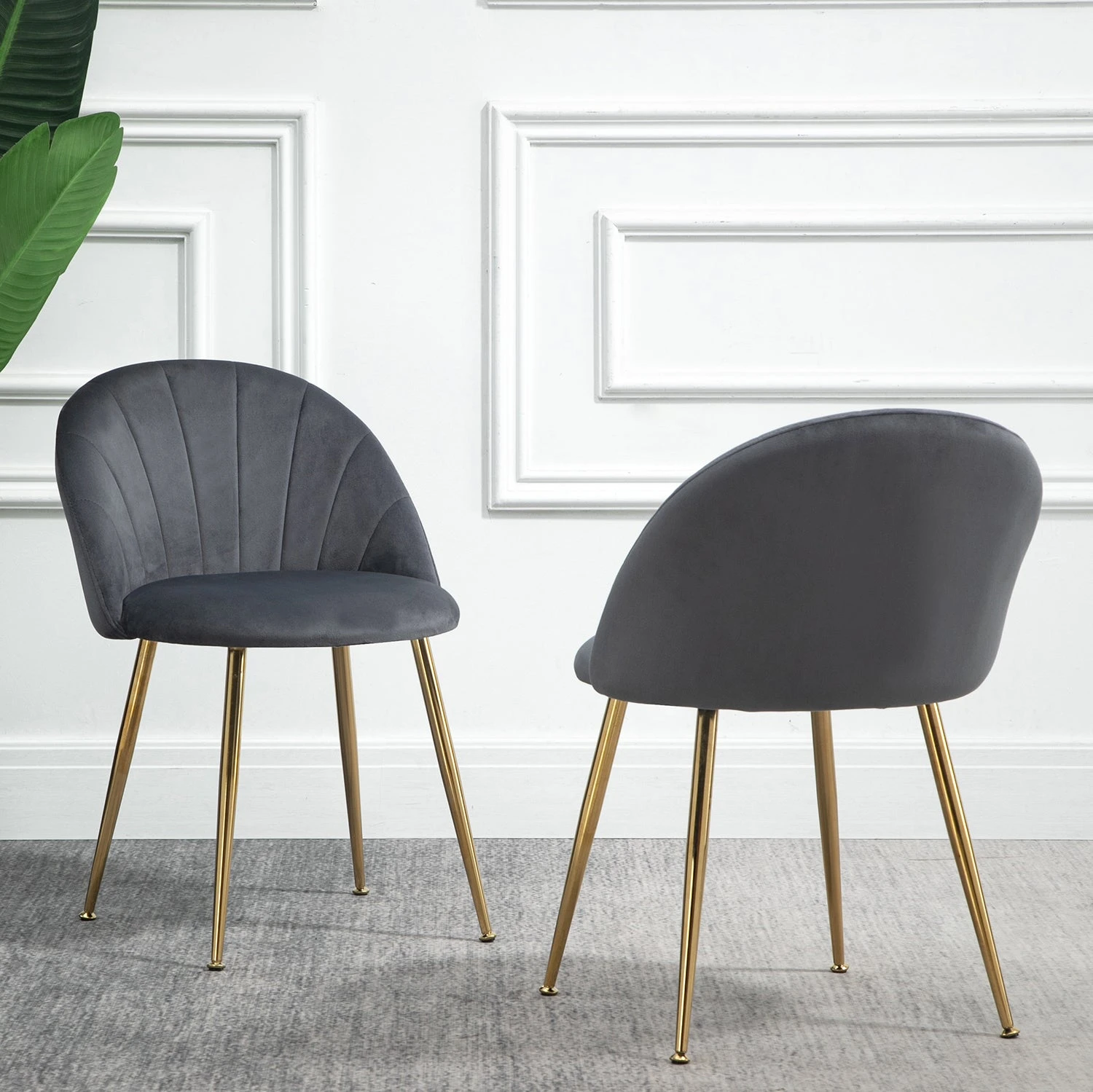 Milverton Pair Of 2 Velvet Dining Chairs With Golden Chrome Legs (Grey) 4 Milverton Pair Of 2 Velvet Dining Chairs With Golden Chrome Legs (Grey) - Image 2