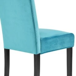 Maidwell Set Of 2 Air Blue Velvet Dining Chairs -FINZ Furniture Shop DCH LW8116 ABLUEVEL 2P detail3
