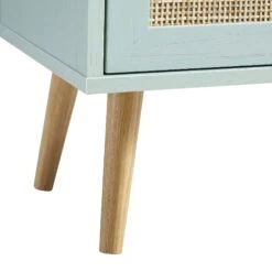 Frances Woven Rattan 1-Door Bathroom Cabinet, Mint -FINZ Furniture Shop FT BAC 01 SAGE detail3