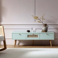 FINZ Furniture Shop -FINZ Furniture Shop FT TV 001 SAGE scene1