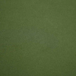 Timber Fern Green Velvet Sofa, 2-Seater 29 Timber Fern Green Velvet Sofa, 2-Seater -FINZ Furniture Shop GCSF 2348 MOSS VEL 3ST fabric