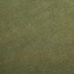 Pienza Cane Sofa Bed, Moss Green Velvet With Walnut Frame 33 Pienza Cane Sofa Bed, Moss Green Velvet With Walnut Frame -FINZ Furniture Shop LWSF 760 GREENVEL WALN fabric