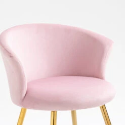 Kylie Set Of 2 Pink Velvet Dining Chairs 20 Kylie Set Of 2 Pink Velvet Dining Chairs -FINZ Furniture Shop MO104PINKVEL P detail1