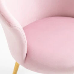 Kylie Set Of 2 Pink Velvet Dining Chairs 22 Kylie Set Of 2 Pink Velvet Dining Chairs -FINZ Furniture Shop MO104PINKVEL P detail3